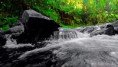 /album/galeria-de-fotos-cachoeira-da-fumaca-serra-do-mar/img-20170218-113150-1-jpg/